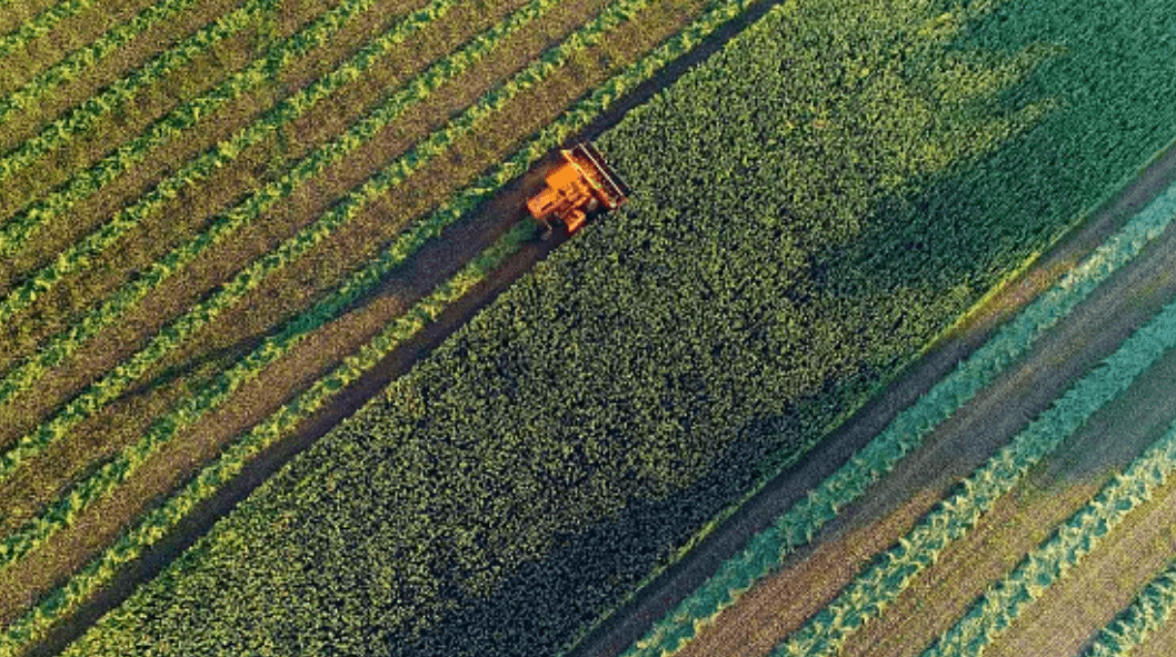 ByMyCell impulsiona a agricultura brasileira com tecnologia de genômica