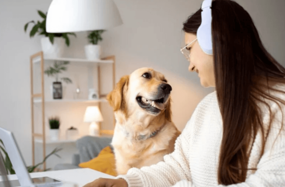 Vetwork investe R$ 20 milhões para expandir base de clientes no setor pet