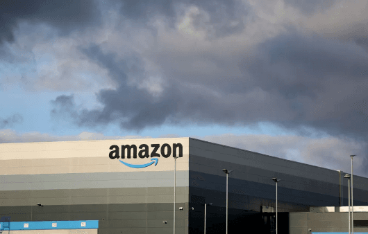 Amazon e outras empresas investem US$ 180 milhões em créditos de carbono na Amazônia