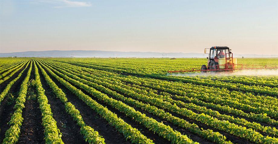 Setor agrícola europeu questiona competitividade frente a R$ 6,7 bilhões no Brasil