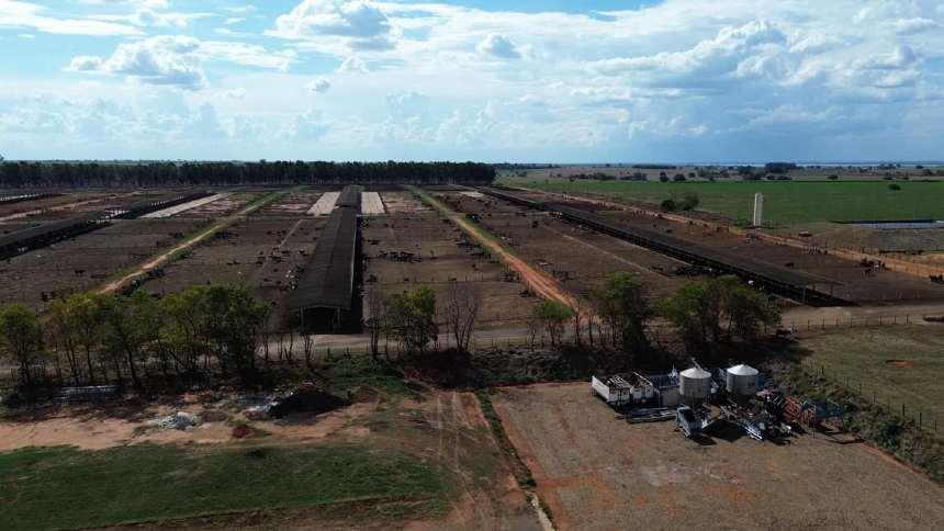 MFG Agropecuária expande confinamentos e projeta 300 mil cabeças abatidas em 2024