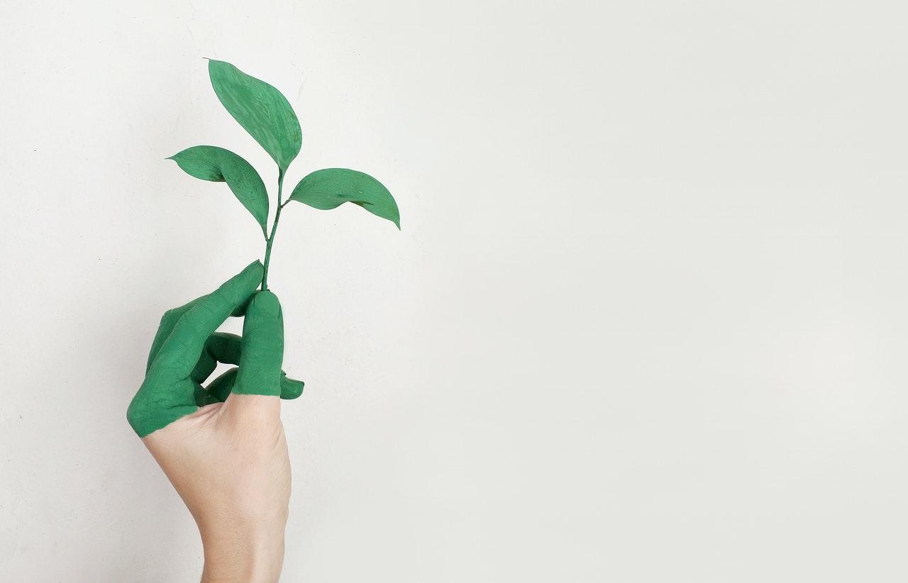 Sustentabilidade que vai além do discurso