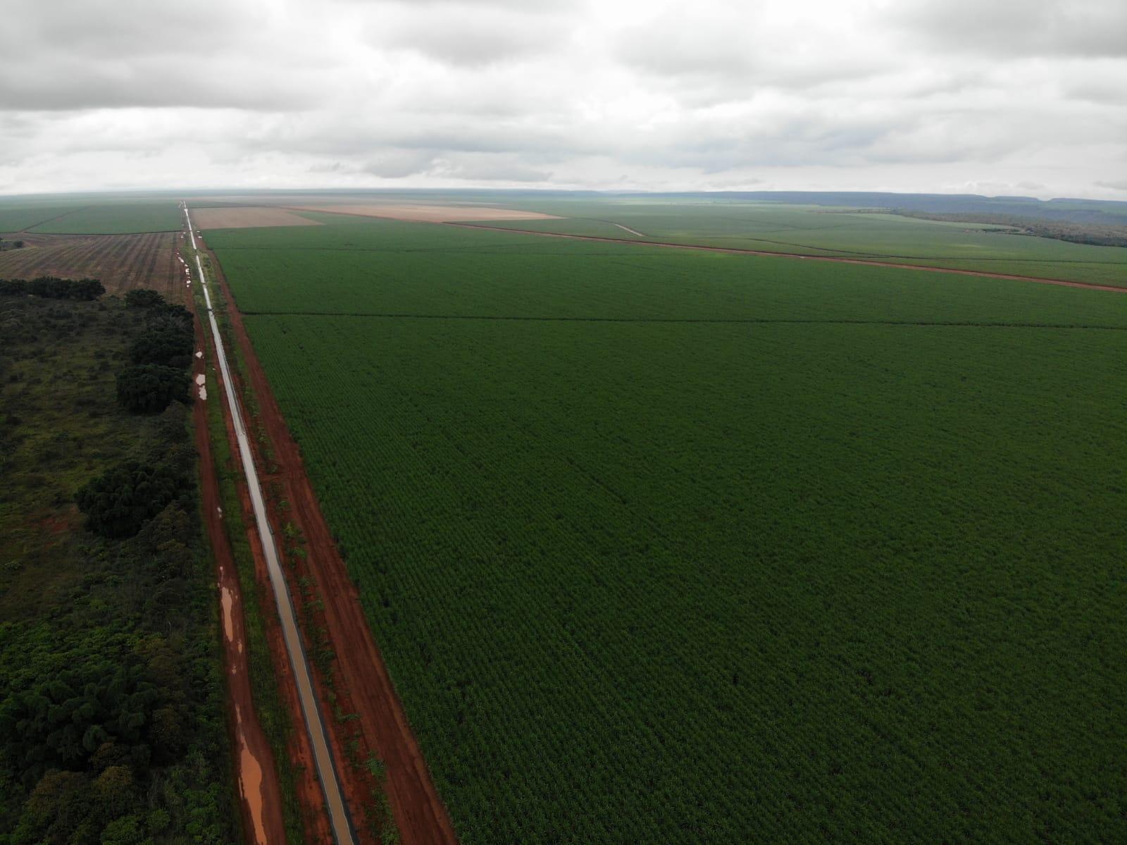 BrasilAgro evita 168 incêndios em fazendas, em sete meses
